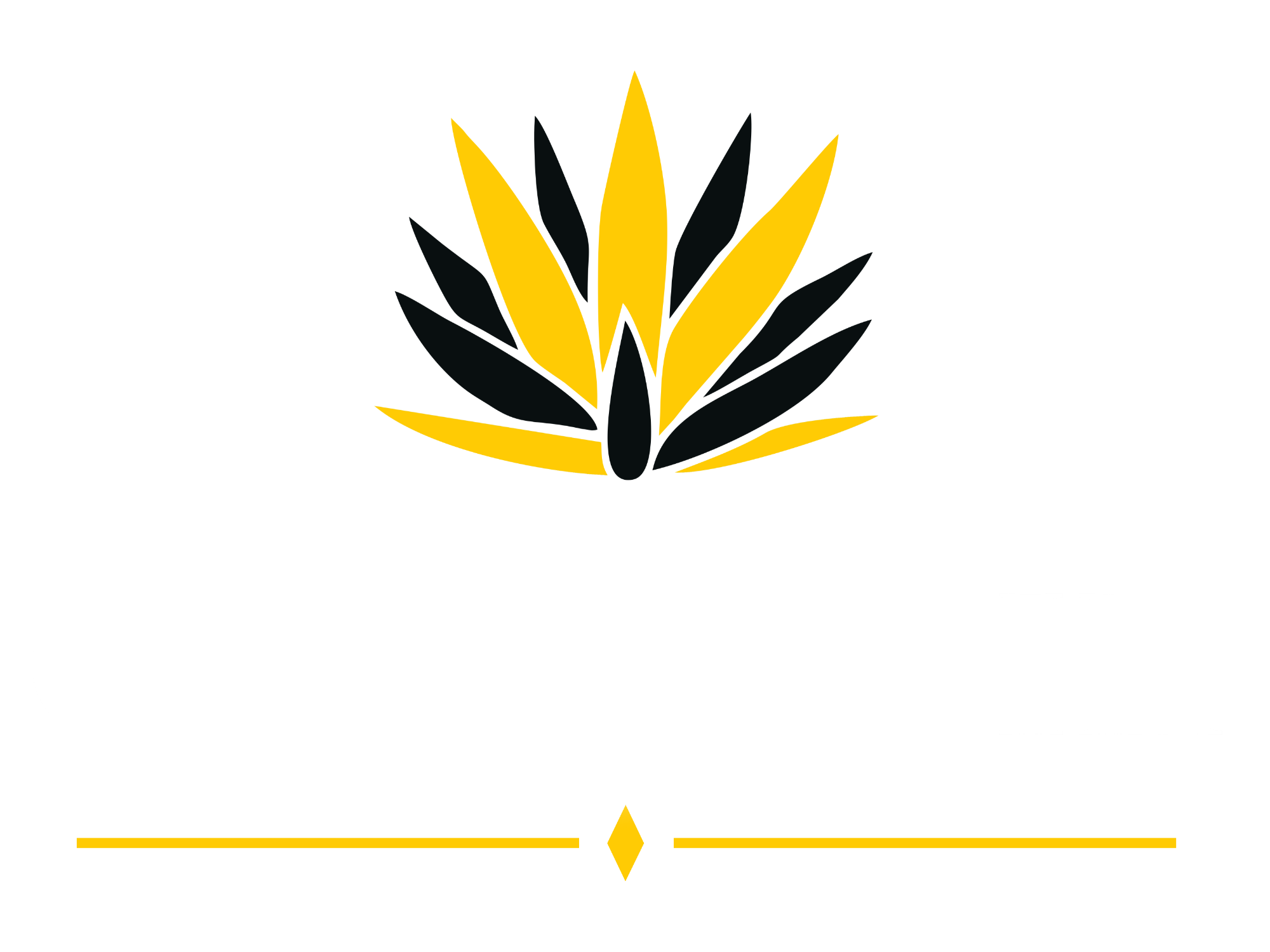 Castell III